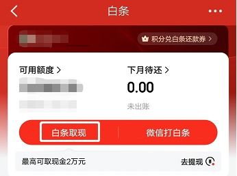 京东白条金额提现攻略，轻松操作，资金到账不是梦！