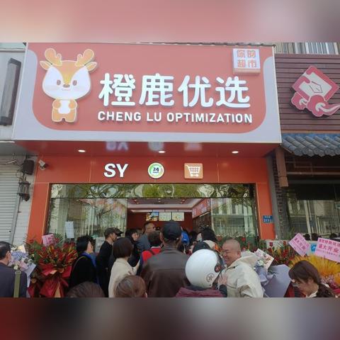 鹿优选额度提现详解，额度、使用及案例分析