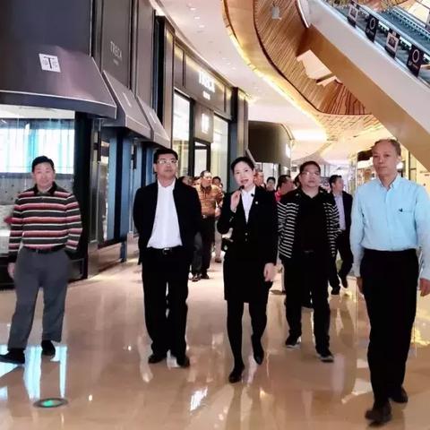 深入剖析，市场家居品牌调研的全景透视