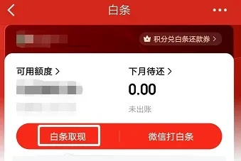 白条账单提现全攻略，操作、注意事项与案例分析