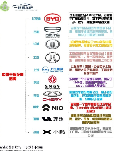 国新能源汽车品牌的崛起之路