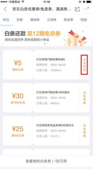 京东白条底层资产提现攻略，轻松变现，资金周转无忧