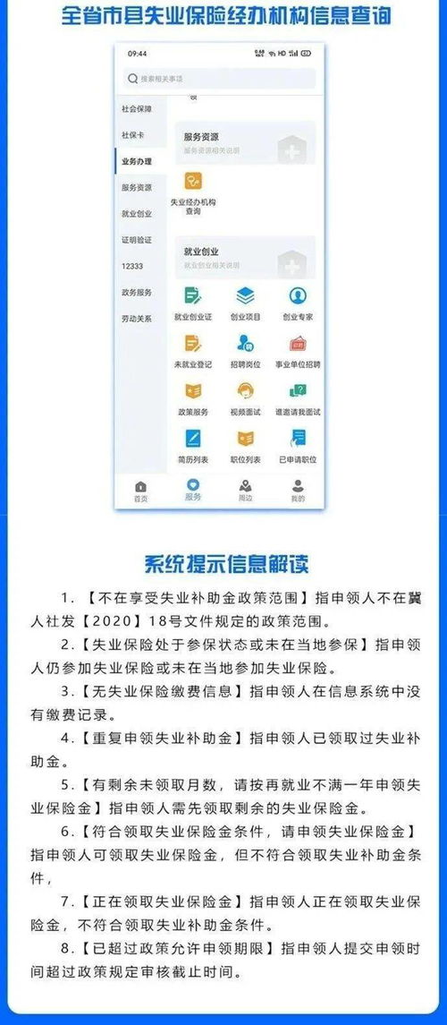 羊小咩便荔卡提现全攻略，手把手教你轻松提现，附实用技巧与避坑指南