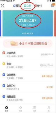 京东白条到账提现费用详解，收费标准、案例说明及注意事项