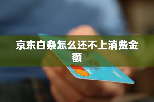 轻松提现京东白条可用额度，让你的资金流转更灵活！