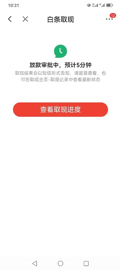 揭秘京东白条额度提现攻略，轻松操作，资金到账不是梦！