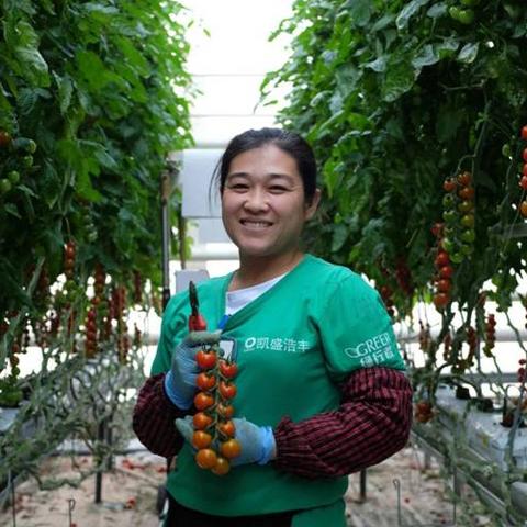 平度装修品牌招商加盟，开启财富之门