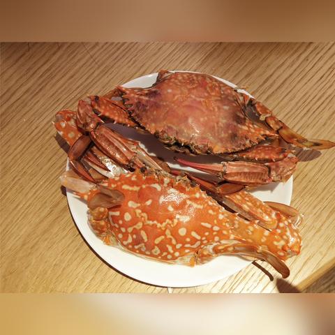 怕老公查酒店记录怎么办？解读你的疑虑与应对之策