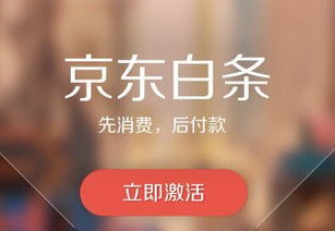 京东白条提现技术全解析