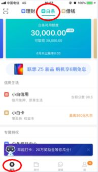 轻松掌握京东白条贷款提现步骤，让你的资金流转更便捷！