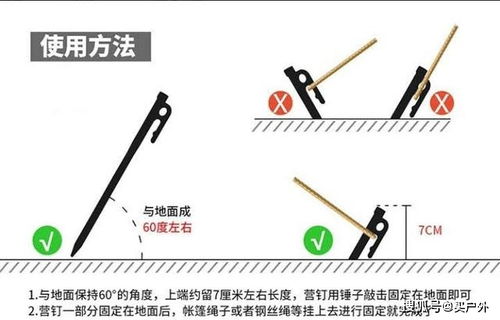 探索户外渔具的世界，品牌的力量与选择的智慧