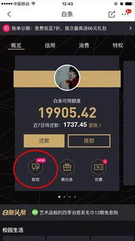 京东白条贷提现攻略，揭秘如何轻松提取现金！