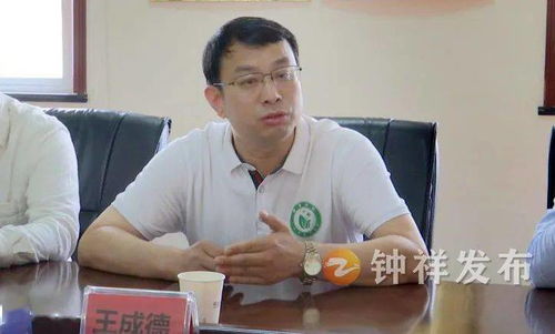 探索全球视野下的木质家具品牌