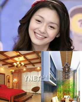 谢娜母婴品牌探秘，从明星到创业者的华丽转变
