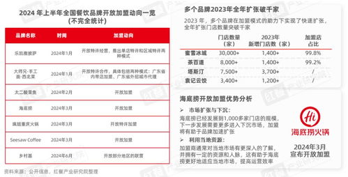 上海餐饮品牌投资预算的全面解析