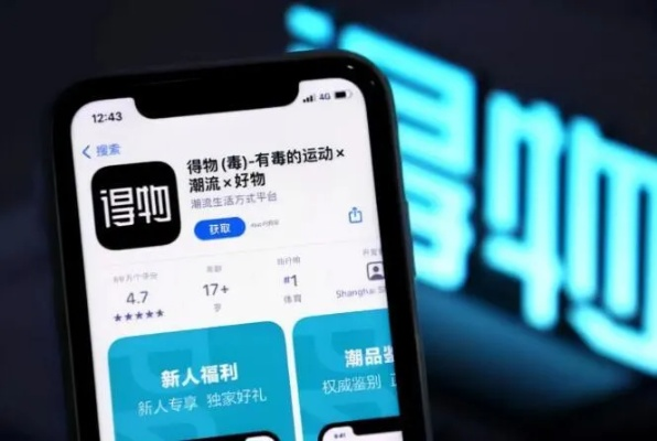 得物额度大揭秘，如何轻松获得并兑现你的得物额度？