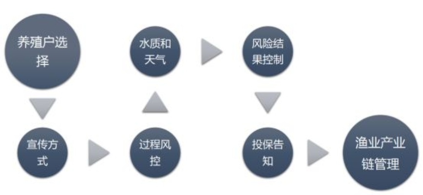 邢台花呗套现公司，揭秘灰色产业链的套路与风险
