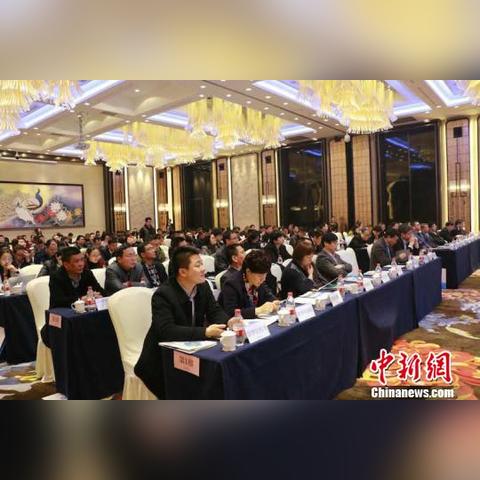 汽车品牌的崛起，从追赶到领跑的华丽蜕变