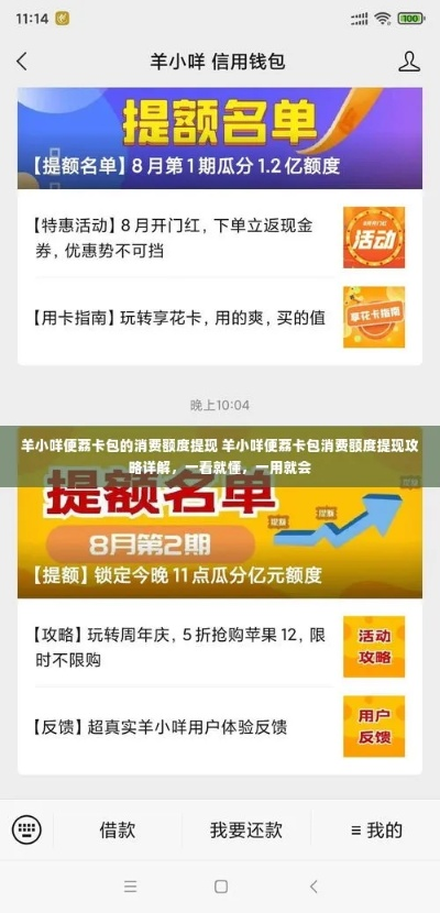 揭秘羊小咩便荔卡额度提升攻略，如何轻松套出最高额度！