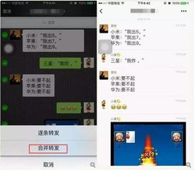 揭秘！如何查看别人陌陌聊天记录？实用技巧大公开！