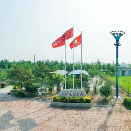 白城餐饮品牌策划咨询，打造地方特色与市场竞争力
