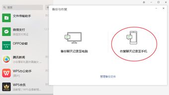 如何轻松恢复聊天记录，实用指南与案例分享
