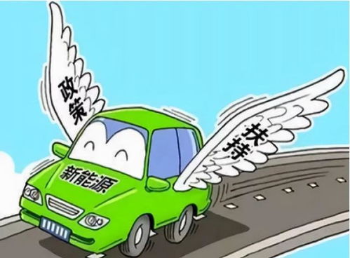 汽车品牌的价格战，市场博弈与消费者选择