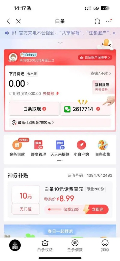 揭秘京东白条备用金提现审核那些事儿