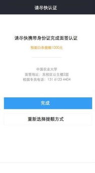 京东白条ti提现，轻松变现，你的资金周转神器！