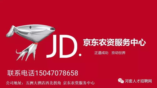 京东白条600套来袭！揭秘全新金融福利，抢购攻略大公开！