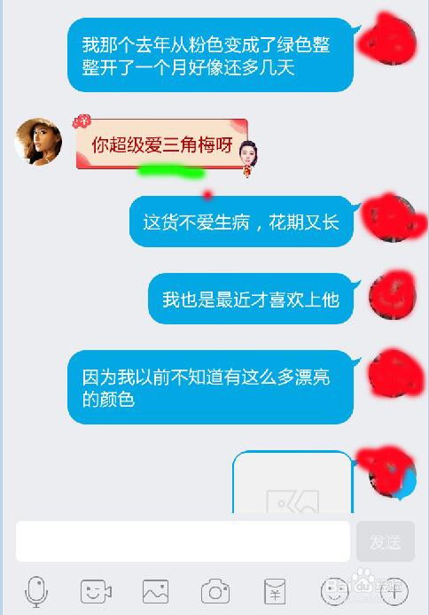 教你怎么查QQ聊天记录