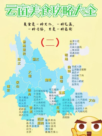 楚雄餐饮品牌，味蕾之旅的美食地图