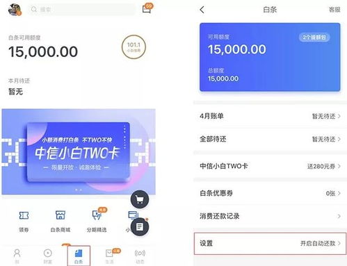 揭秘京东白条500额度套现攻略，轻松变现，你也能做到！