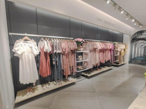 探索家居服饰品牌的世界