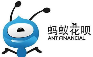 轻松提现2万，京东白条免费提现攻略大揭秘！