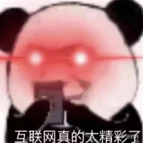 揭秘陌陌聊天记录删除后能否查看