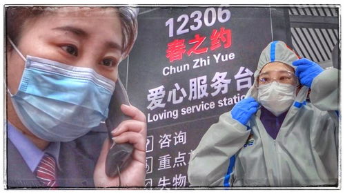 身份证号查开房网址