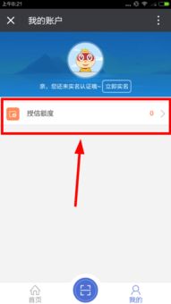 轻松提现！教你如何巧妙使用白条额度