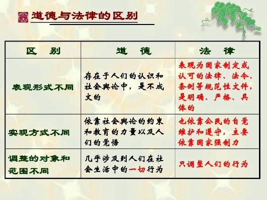 合法途径与道德考量