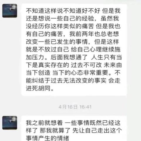 入住宾馆记录查询系统详解，功能、操作与实际应用案例