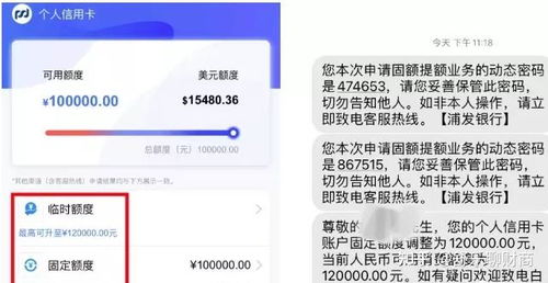 轻松提升白条额度，轻松提现攻略大揭秘！
