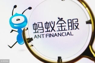 轻松实现白条提现，让你的资金流转更灵活！