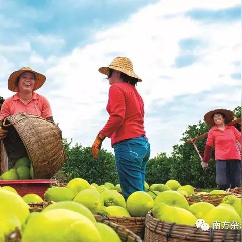 韶关餐饮品牌标志设计的艺术与实践
