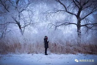 户外品牌滑雪，探索雪域激情与时尚融合