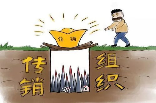 警惕分期乐提现陷阱，教你如何识破！