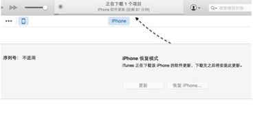iPhone 4S上陌陌删除的聊天记录，真的能恢复吗？揭秘恢复技巧与案例分享