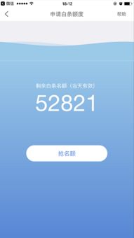 京东白条提现攻略，轻松操作，资金到账不是梦！