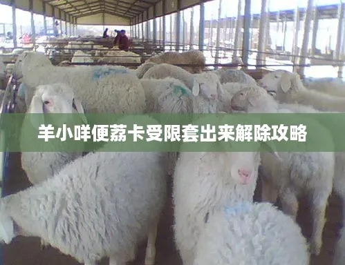 羊小咩便荔卡火车票套出攻略详解，操作指南与案例分享