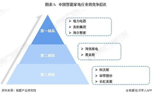 海尔品牌家电市场占有率的演变与未来展望