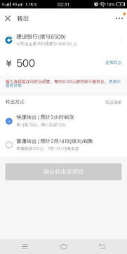 京东白条提现攻略，揭秘你的白条余额如何轻松变现